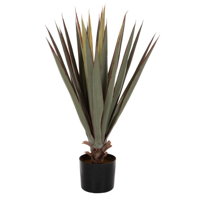 ΔΙΑΚΟΣΜΗΤΙΚΟ ΣΥΝΘΕΤΙΚΟ ΦΥΤΟ HM7985 SISAL AGAVE ΣΕ ΓΛΑΣΤΡΑ  Φ13