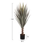 ΔΙΑΚΟΣΜΗΤΙΚΟ ΣΥΝΘΕΤΙΚΟ ΦΥΤΟ HM7987 SISAL AGAVE ΣΕ ΓΛΑΣΤΡΑ 120Υεκ.-2