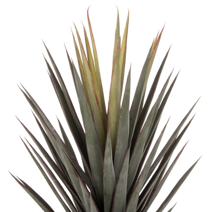 ΔΙΑΚΟΣΜΗΤΙΚΟ ΣΥΝΘΕΤΙΚΟ ΦΥΤΟ HM7987 SISAL AGAVE ΣΕ ΓΛΑΣΤΡΑ 120Υεκ.-3