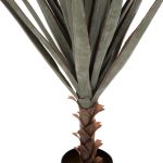 ΔΙΑΚΟΣΜΗΤΙΚΟ ΣΥΝΘΕΤΙΚΟ ΦΥΤΟ HM7987 SISAL AGAVE ΣΕ ΓΛΑΣΤΡΑ 120Υεκ.-4