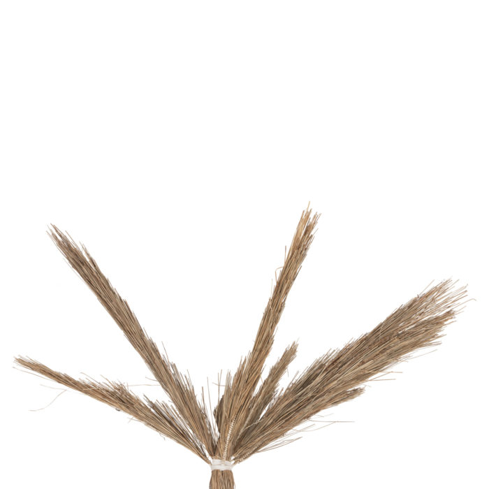 ΔΙΑΚΟΣΜΗΤΙΚΟ ΔΕΝΤΡΟ TROPIC HM4323 τ.ΦΟΙΝΙΚΑ ΑΠΟ MENDONG GRASS 310Yεκ.-4