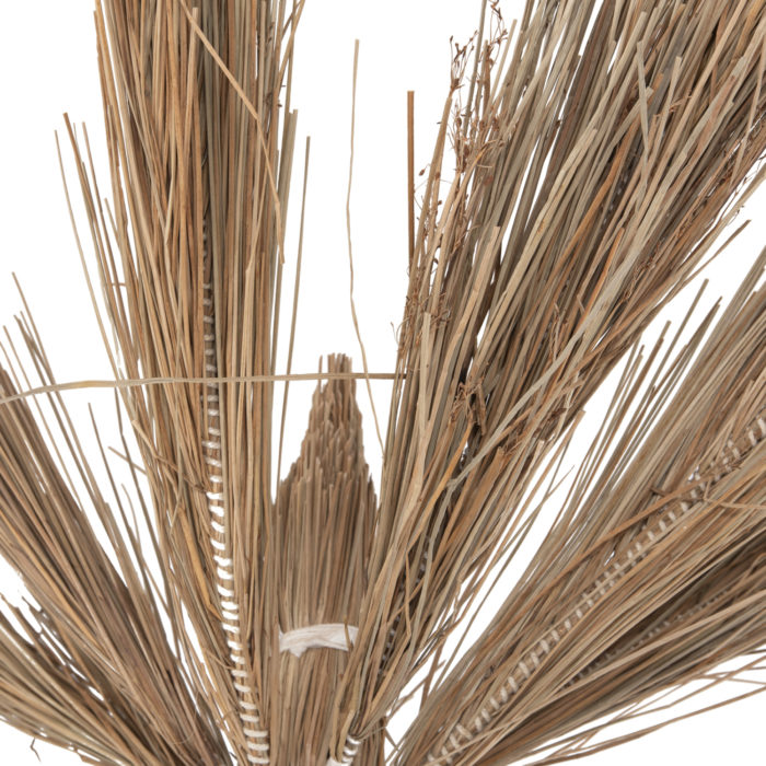 ΔΙΑΚΟΣΜΗΤΙΚΟ ΔΕΝΤΡΟ TROPIC HM4323 τ.ΦΟΙΝΙΚΑ ΑΠΟ MENDONG GRASS 310Yεκ.-6