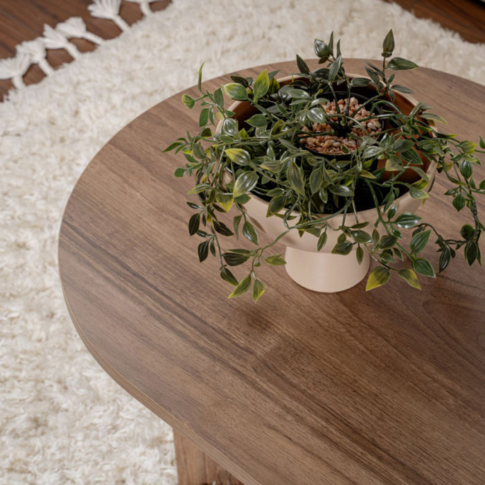 Τραπέζι σαλονιού Tabletod pakoworld σε καρυδί απόχρωση 119x60x40εκ-2